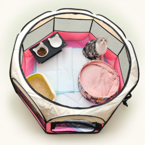 Foldable Playpen